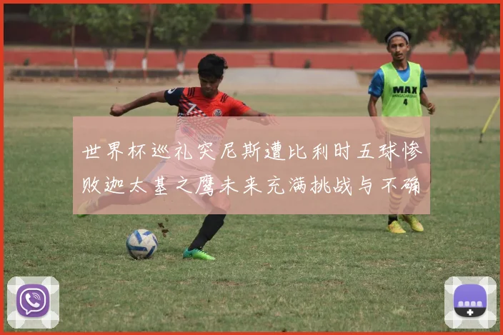 世界杯巡礼突尼斯遭比利时五球惨败迦太基之鹰未来充满挑战与不确定性