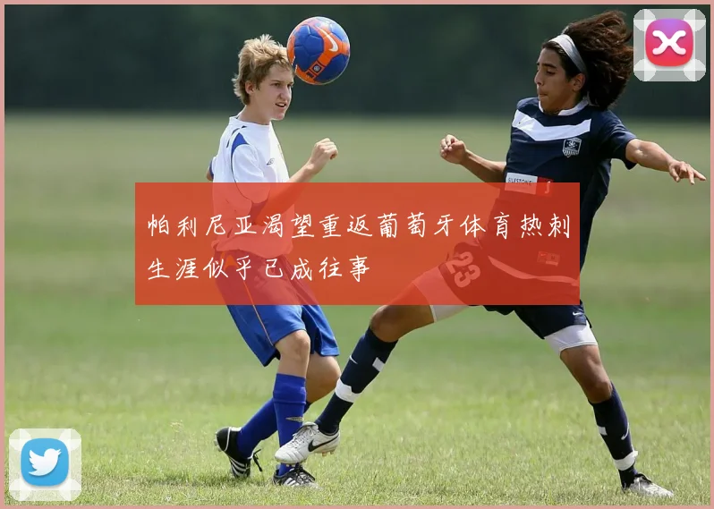 帕利尼亚渴望重返葡萄牙体育热刺生涯似乎已成往事